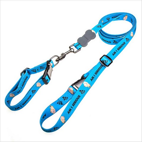 Dog Leashes and Collars